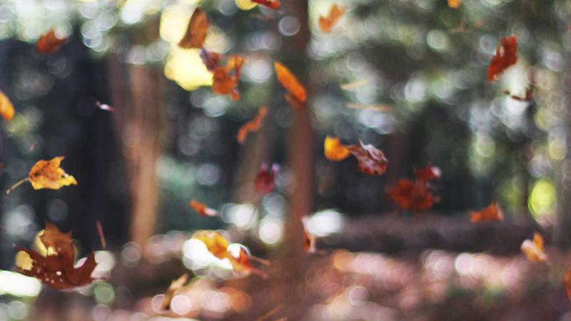 Blog post