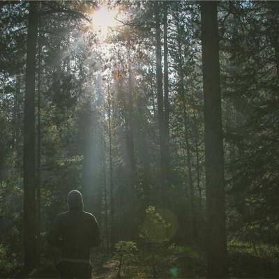 https://theme.webtheme.cn/themes/18-spring/assets/images/team1.jpg