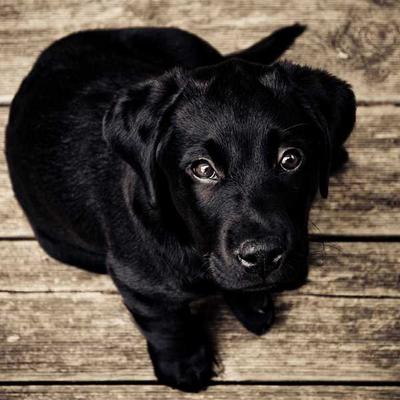 https://theme.webtheme.cn/themes/23-galaxy/assets/images/team-4.jpg