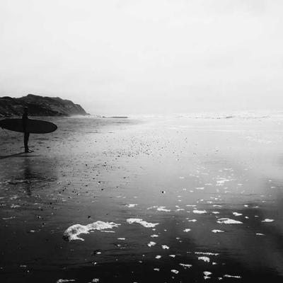 海鸣