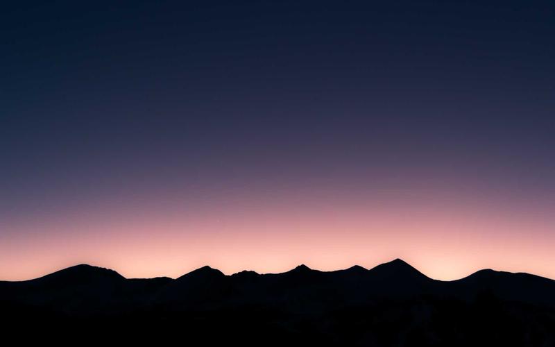 鲸鲨季