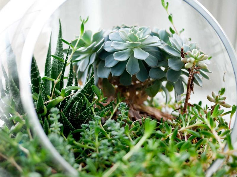 夕阳剪影