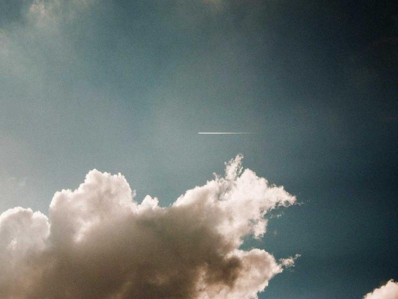 茶园相册一