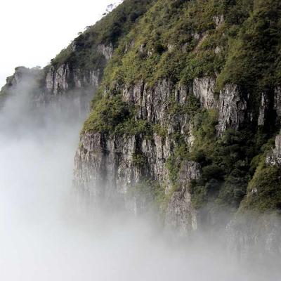 船长老陈