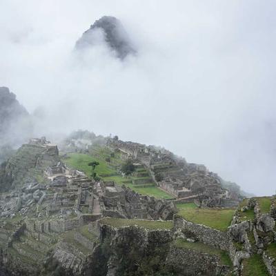 调酒师小霓