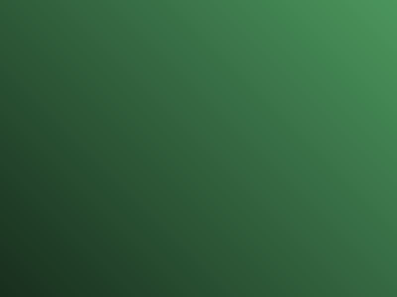 陈皮
